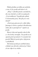 0041336584_kouzelni-ponici-2-velke-prani