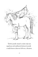 0041336584_kouzelni-ponici-2-velke-prani