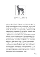 0045908935_Zakon_smecky_II_04_Rudy_mesic