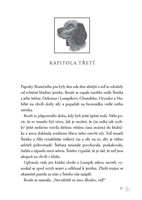 0045908935_Zakon_smecky_II_04_Rudy_mesic