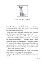 0045908935_Zakon_smecky_II_04_Rudy_mesic