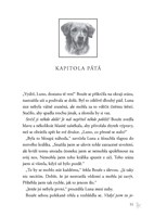 0045908935_Zakon_smecky_II_04_Rudy_mesic