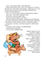 0049062458_Kata_a_skubanek_zase_spolu_st