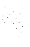 0040035850_Mount_Kodan_ukazka_AM_Page_03