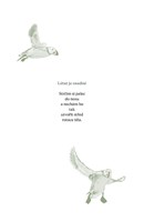 0040035850_Mount_Kodan_ukazka_AM_Page_07