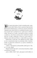 0035656892_hranicaruv-ucen-02-horici mos