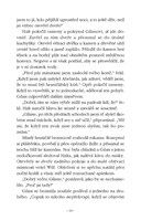 0035656892_hranicaruv-ucen-02-horici mos