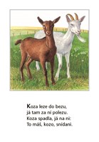 0048840203_lidova-rikadla-o-zviratkach-A