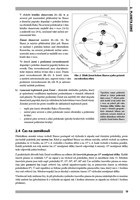 0049031609_priprava-na-statni-maturitu-z