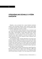 0040195531_Oranzovy-balonkovy-pejsek_uka