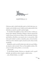 0045908937_kocici-valecnici-nebezpecna-s