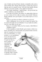 0049065102_ronja-dcera-loupeznika-10110F