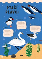 0049127306_Vsechno_plave_co_ploutve_ma_i