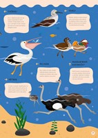 0049127306_Vsechno_plave_co_ploutve_ma_i