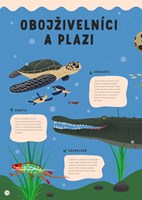 0049127306_Vsechno_plave_co_ploutve_ma_i