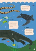 0049127306_Vsechno_plave_co_ploutve_ma_i