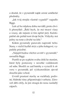 0027740981_klub-tygru-ozivla-mumie-101F0