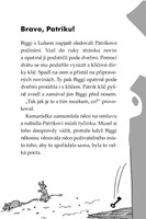 0027733221_klub-tygru-letajici-prizrak-1