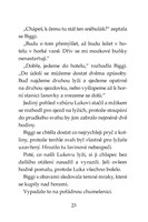 0027743305_klub-tygru-po-stopach-yettiho