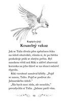 0035793402_tajemni-zachranci-ptak-ohniva