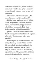 0035793402_tajemni-zachranci-ptak-ohniva