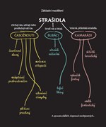 0045396616_caso_list 02.jpg