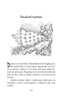 0047065508_emily-vichrna-a-tajemstvi-mor