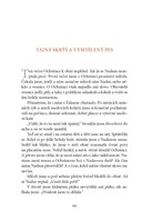 0040199446_ztraceny-sip-A10110F15743-lis