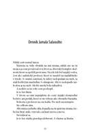 0043945554_strana_021.jpg