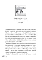 0047065740_volani-divociny-velke-medvedi