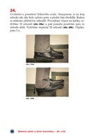 0052276454_Cvicime v kancelari_A101V0F19