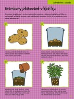 0051167808_prirucka_mladeho_zahradnika_s