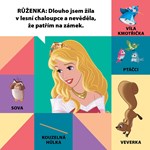 0050956240_100_slov_s_princeznou_strana_