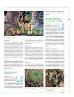 0054072664_khp0453_Encyklopedie_kaktusy-