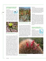 0054072664_khp0453_Encyklopedie_kaktusy-