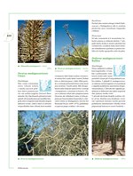 0054072664_khp0453_Encyklopedie_kaktusy-