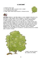 0049972989_dysgrafie-a101f0f18855-list-0