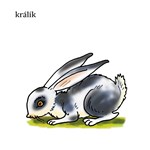 0027741554_moje-prvni-slova-zviratka-a10