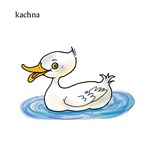 0027741554_moje-prvni-slova-zviratka-a10