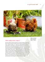 0050336899_khp0406_Domaci_Chov_slepic-00