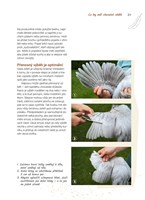 0050336899_khp0406_Domaci_Chov_slepic-02