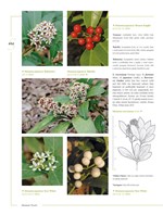 0054270963_0008488430_KH0080_listovani_3