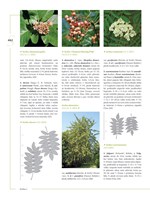 0054270963_0008488430_KH0080_listovani_4