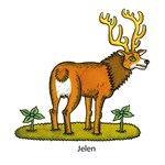 0055131367_zviratka-v-prirode-a101f0f206