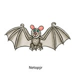 0055131367_zviratka-v-prirode-a101f0f206