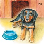 0055131365_na-dvorku-leporelo-a101f0f206