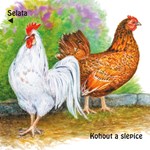 0055131365_na-dvorku-leporelo-a101f0f206