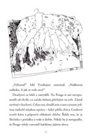 0048118372_Sto_a_jeden _dalmatinec_cz_A1