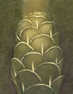 0055399703_Muz-ktery-sazel-stromy-A101V0