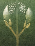 0055399703_Muz-ktery-sazel-stromy-A101V0